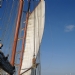   Antwerpen zeilschip Marjorie II